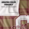 College Of Charleston Campus Plaid Spirit Silky Touch Super Soft Throw Blanket 50x60 - 4 of 4