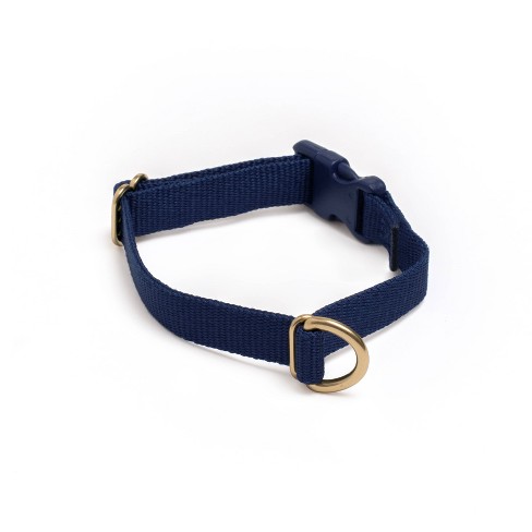 Basic Dog Adjustable Collar With Color Matching Buckle - Boots & Barkley™ :  Target