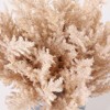 Artificial Plant - Faux 14" Potted Broom Corn Plant - FXP1019 - Multicolored - Safavieh - 4 of 4
