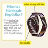 Country Brook Petz HossFit Jr Wide Martingale Dog Collar - Sports and Athletics Collection - 2 of 4