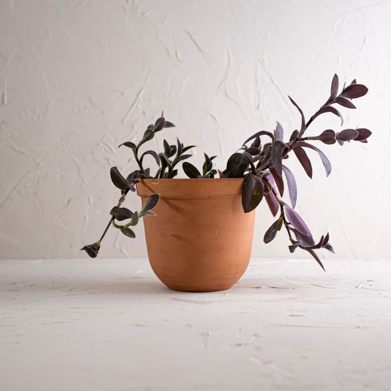 Think Rim Terracotta Planter - Foreside Home & Garden, 2 of 6