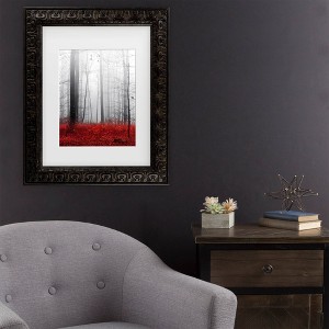 Trademark Fine Art Philippe Sainte-Laudy Little Red Carpet Matted Framed Art - 1 of 4