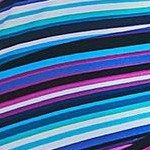 multi prism