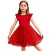 Arshiner Toddler Tutu Dress Little Girls Fluffy Summer Dresses Casual Party Tulle Sundress for Kids - 4 of 4