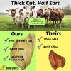 Dog Chits Cow Ears for Dogs and Puppies | 10 Pack | All Natural Flat Ears | - 2 of 4