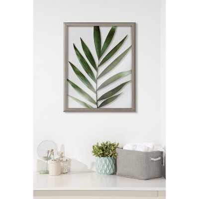 Gray Polystyrene Framed Botanical Print 16" x 20"