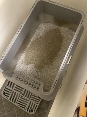 Guest review image 2 of 2, zoom in