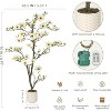 Artificial Magnolia Plants, Faux Flower Trees for Indoor Outdoor , Fake Magnolia Tree with Realistic Flowers, Leaves, Mosses & White Pot - 2 of 4