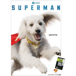 Trends International DC Comics Superman (2025) - Krypto Feature Series Unframed Wall Poster Prints - 1 of 4