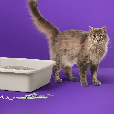 Scented Clumping Cat Litter Bag - up&up™, 2 of 5