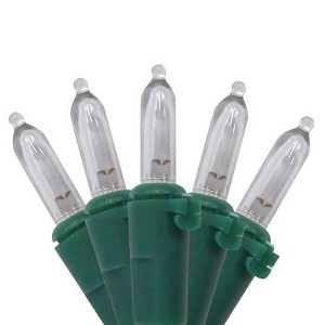 Celebrations LED Mini Warm White 50 ct String Christmas Lights 16 ft. (Case of 12) - 1 of 1
