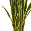 26" x 8" Artificial Sansevieria Plant in Pot - Nearly Natural - image 2 of 3