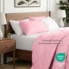 Ivy Union Down Alternative Comforter Set - 2 of 4