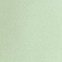 Light Sage Green
