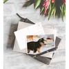 Best Paper Greetings 40 Pack Assorted Puppy Dog Blank Postcards Greeting Post Cards All Occasions Bulk Set 4x6 in - 2 of 4