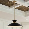 Nuvo Lighting Perkins 1 - Light Pendant in  Matte Black/Burnished Brass - 3 of 4