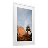 Stupell Industries Joshua Tree & Canyon Framed Print Under Glass Art - 2 of 4