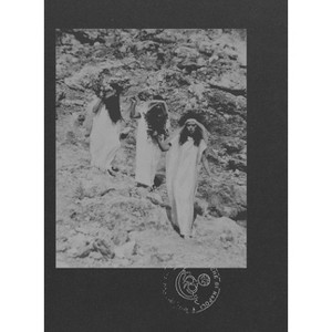 Le Nemesiache: Reclaiming Mythological Rituals - by  Sonia D'Alto (Paperback) - 1 of 1