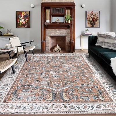 Area Rugs for Living Room Boho Rug Non Slip Bedroom Rug Soft Distressed Vintage Oriental Rugs