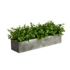 Nearly Natural 25-in Eucalyptus Artificial Plant - 3 of 4