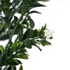 Vickerman Artificial Green UV Coated Boxwood Bush - 3 of 4