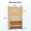 Rattan Shoe Storage Cabinet with 3 Flip Drawers, Free Standing Wooden Shoe Storage Organizer Cabinet - 2 of 4