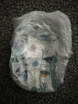 Guest review image 2 of 2, zoom in