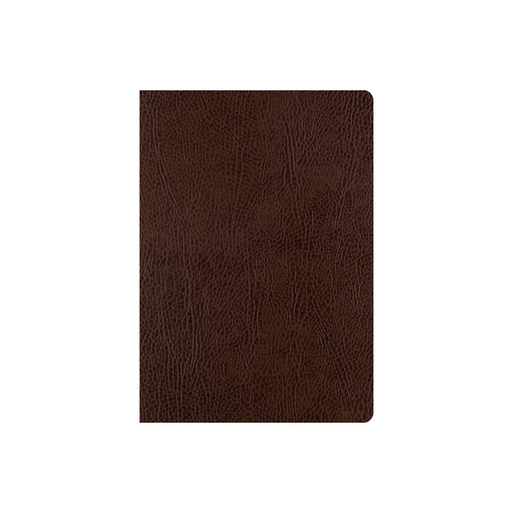 ESV Single Column Journaling Bible, Large Print (Mocha) - (Leather Bound)