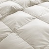 Peace Nest Lightweight Summer White Goose Down Feather Fiber Comforter Duvet Insert - 4 of 4