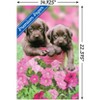 Trends International Keith Kimberlin - Labs Unframed Wall Poster Prints - 3 of 4