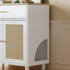 LOVMOR Hidden Litter Box Furniture Cat Litter Box Enclosure with Scratch Pad - 4 of 4