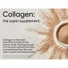 Sports Research Multi Collagen Complex, Dietary Supplement, Powder - 3 of 4