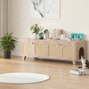 MAYEERTY 58¡Á20 Inch Double Hidden Cat Cabinet - With Rattan Doors & Dual Entrances, Fits Two Cats (Natural) - 3 of 4