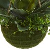 Nearly Natural 15" x 13" Artificial Agave and Maiden Hair Plant in Hanging Basket: Indoor/Outdoor Decor, Polyester Foliage - image 3 of 3