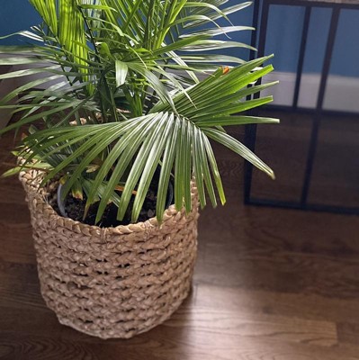 Woven Natural Decorative Cane Pattern Floor Basket - Threshold™ : Target