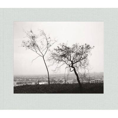 Robert Adams: Los Angeles Spring - (Hardcover)