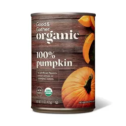 Organic Pumpkin - 15oz - Good & Gather™