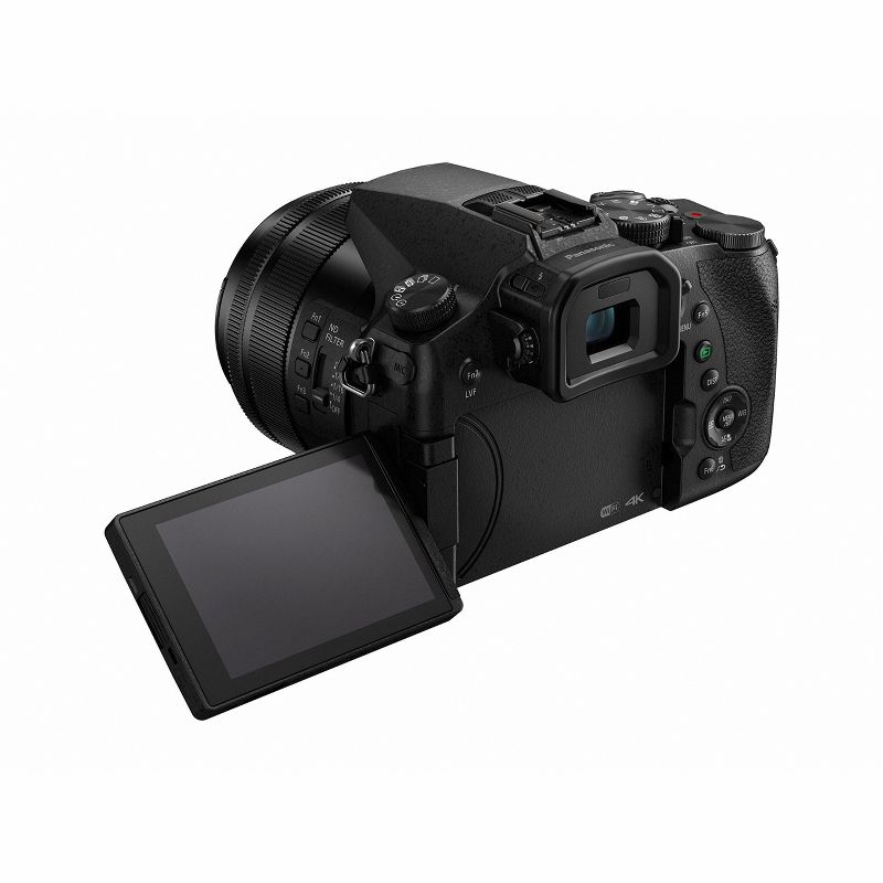 Panasonic Lumix DMC-FZ2500 Digital Camera, 4 of 5