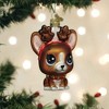 Old World Christmas 3.5 Inch Lil Pet Shop Roxie Boston Terrier Loyal Friend Tree Ornaments - 3 of 3