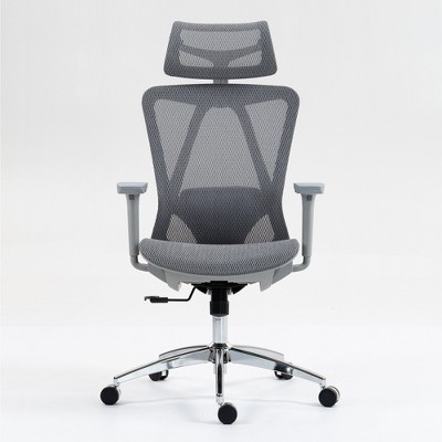 Dolonm Ergonomic Home  Office Chair with Adjustable Lumbar & Headrest - Breathable Mesh Back, 3D Armrests, 90°-120° Recline