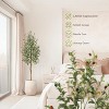 5/6/7FT Artificial Olive Tree with White Planter, Faux Potted Plant with Natural Wood Trunks, Realistic Floor Tree for Living Room Home Office Decor - 4 of 4