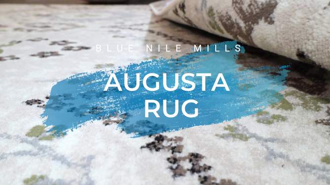Distressed Abstract Damask Indoor Area Rug or Runner by Blue Nile Mills, 2 of 7, play video