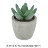 Unique Bargains Artificial Plants Large Mini Pulp with Cactus Finger Plastic 2.36"x2.36"x3.35" 1 Pc - 3 of 4