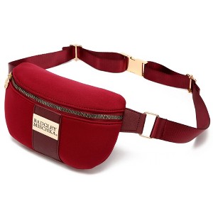 Badgley Mischka Sage Travel Fanny Pack - 1 of 4