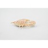 Collectible Wildlife Gifts | Crab, Purple Globe Crab, Rubber, Crustaceans, Realistic, Hand Painted,  Figurine,  Gift,        2"     F939 B157 - 4 of 4