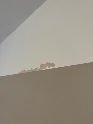 Guest review image 2 of 2, zoom in