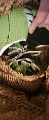 Guest review image 5 of 6, zoom in