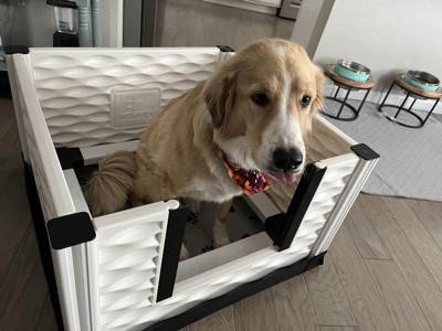 Guest review image 3 of 3, zoom in