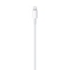 Apple USB-C to Lightning Cable (2 m) - image 3 of 4