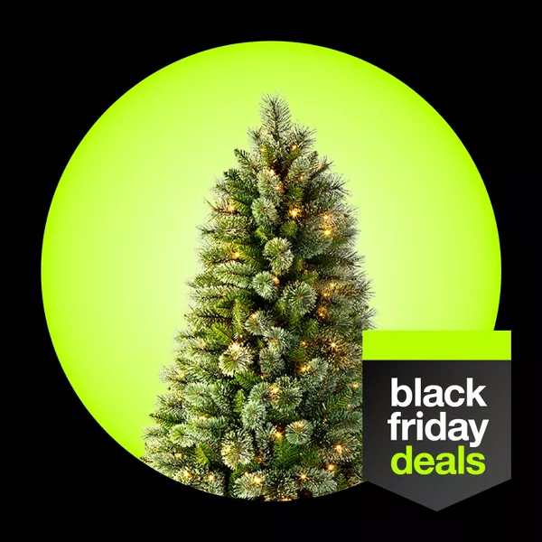 Black Friday Deals